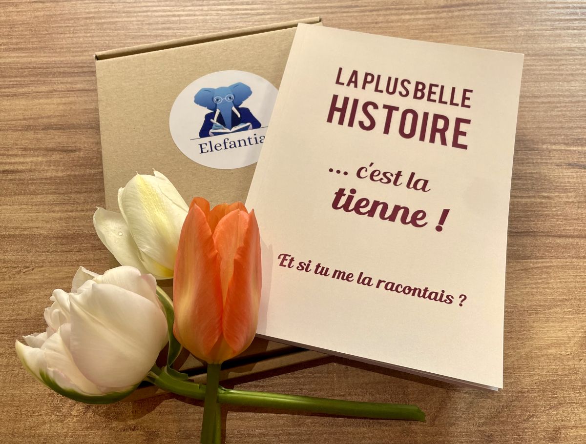 Digital (Mon récit en ebook)